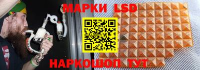 spice Заводоуковск