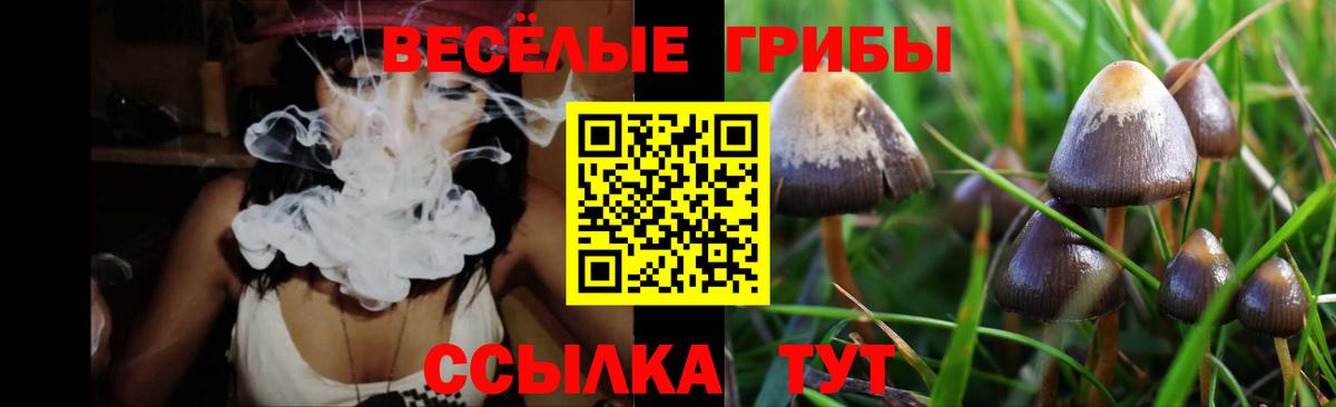 Галлюциногенные грибы мицелий Майский